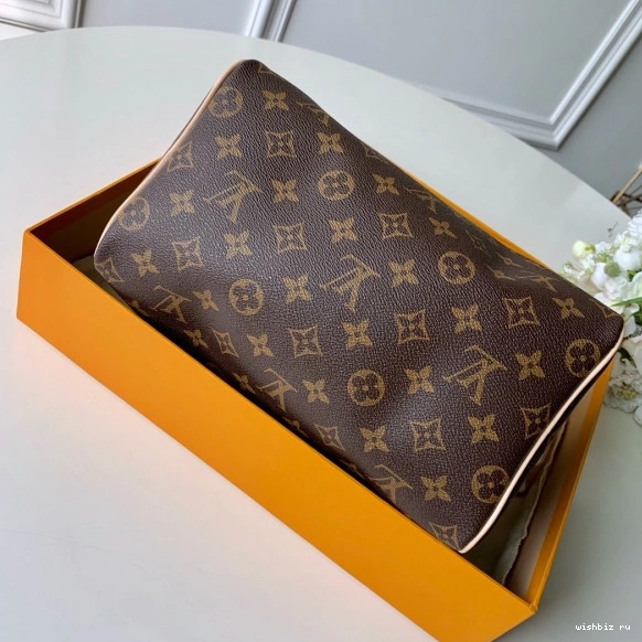 WIS SPEEDY Louis Vuitton 25 0114